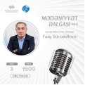 "Mədəniyyət Dalğası”