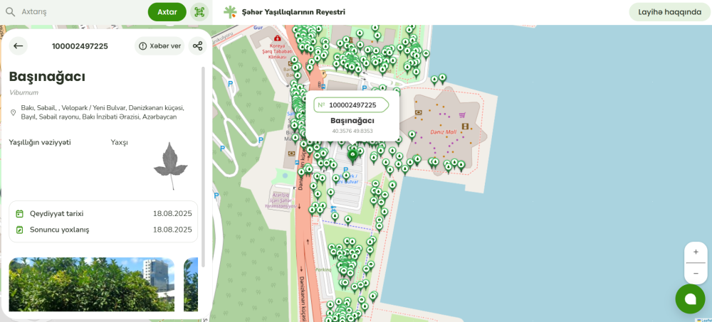 agac.az-Şəhər Yaşıllıqlarının Reyestri